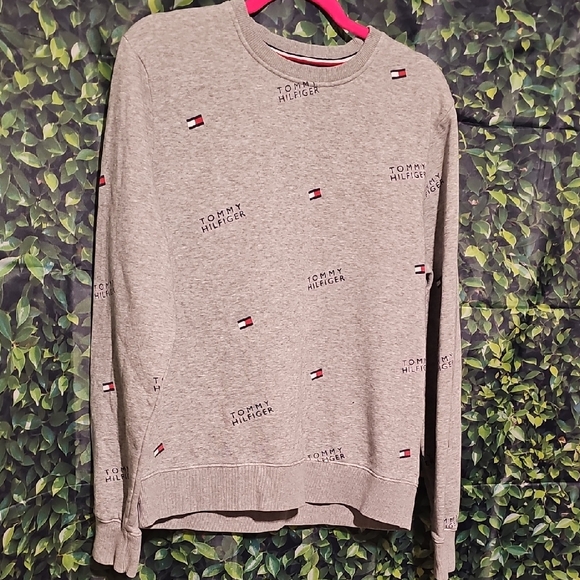 Tommy Hilfiger Light Gray Crewneck Sweater - Picture 1 of 3